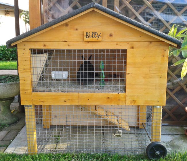 DIY Rabbit Hutch: Build a Comfortable Two-Story Home for Your Pet