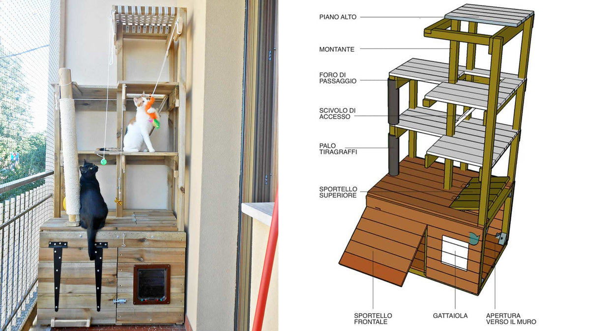 DIY Cat House: How to Build a Cozy Outdoor Haven