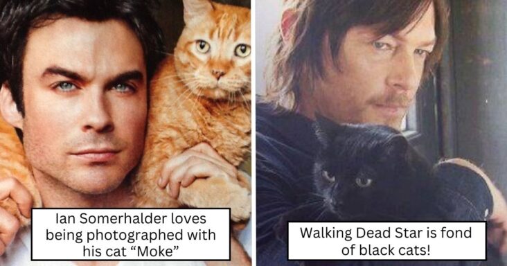 10 Cats Living Their Best Lives With Their Celebrity Owners
