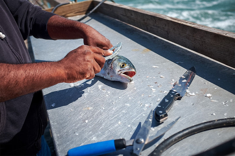 10 Best Fishing Cleaning Tables for Easy Outdoor Fish Prep - grandgoldman.com