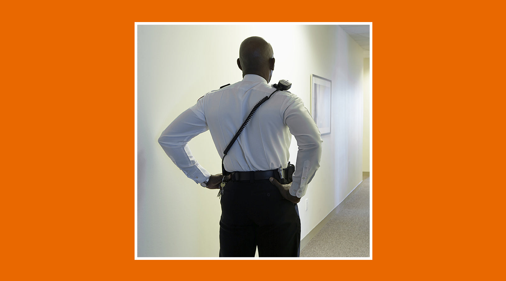 Differences between access controller and security guard - grandgoldman.com