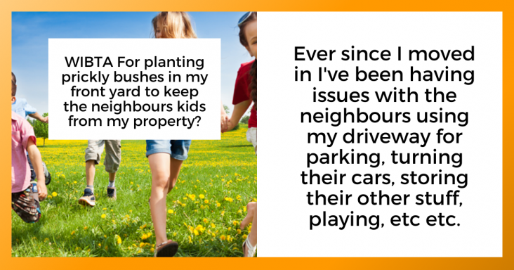 Homeowner Dealt With Thieving Neighbors By Planting Prickly Bushes In Their Front Yard - grandgoldman.com