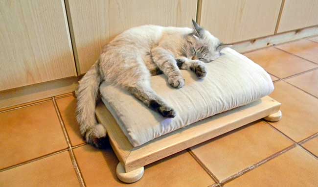 DIY Wooden Cat Bed: 12-Step Photo Tutorial for a Cozy Pet Futon