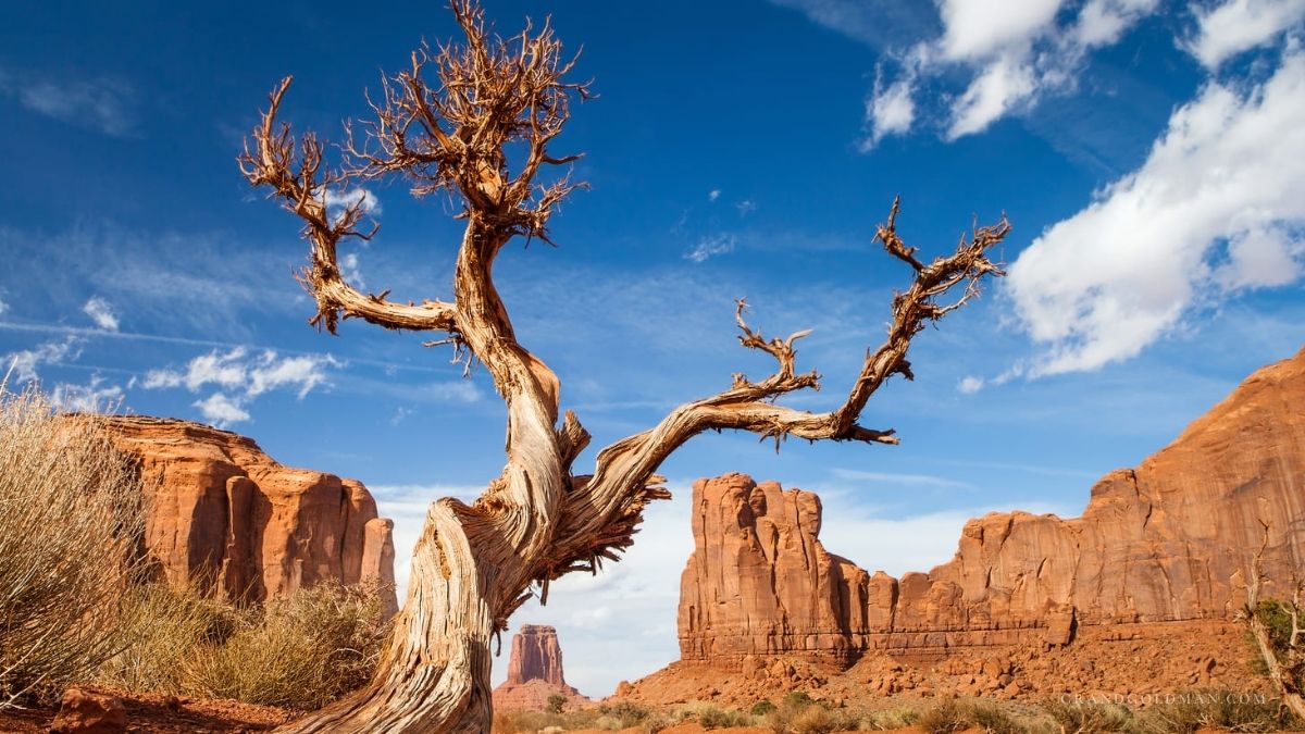 Death Valley Day Trip - Grand Goldman