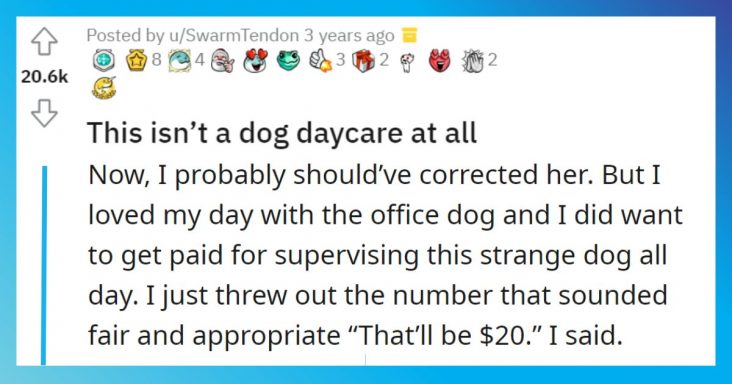 Woman Mistakes A Dog-Friendly Office For A Dog Daycare Center - grandgoldman.com