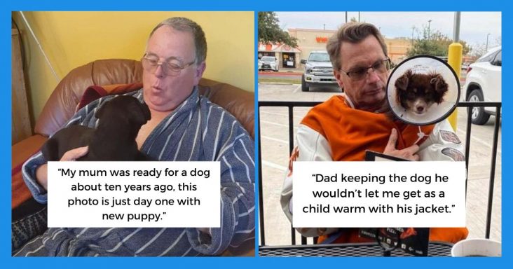 15 Dog Haters Who Transformed Into Dog Lovers