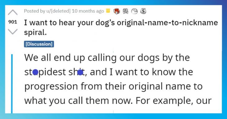 30 People Share Hilarious Process By Which Their Dogs Got Nicknames From Their Original Names - grandgoldman.com