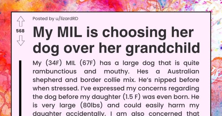Mother-in-Law Chooses Dog Over Grandchild And Refuses To Keep Her Dog Away From The Baby