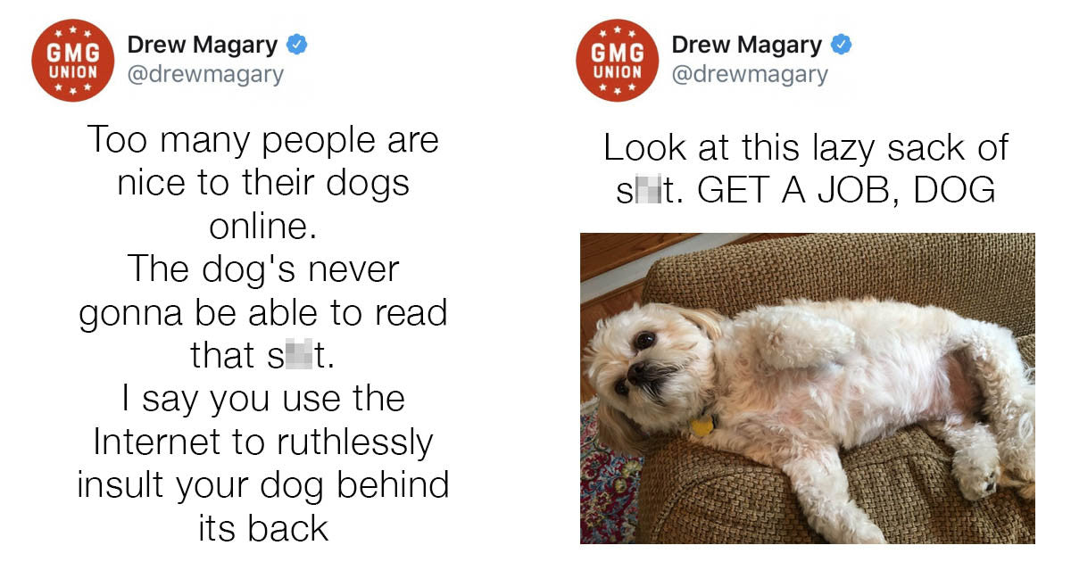 Dog Parents Roast Their ”Good Boys” For Being Bad To The Bone - grandgoldman.com
