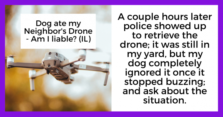 Neighbor Takes Dog Owner To Small Claims Court Over Damaged Drone, It Backfires On Him