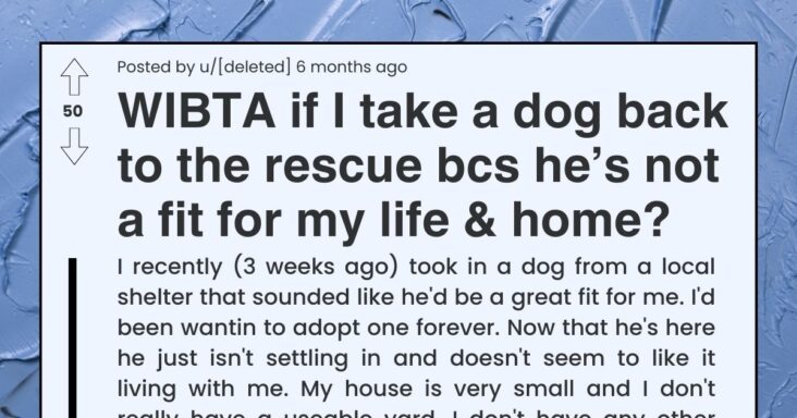 Redditor Asks If They Are Wrong For Taking A Dog Back To Shelter Because The Dog Didn’t Fit In Their Home