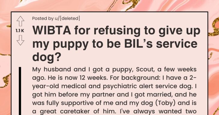 Redditor Refuses To Give Away Her Dog That Could Save Her Brother-In-Law’s Life, Asks If They Are Wrong