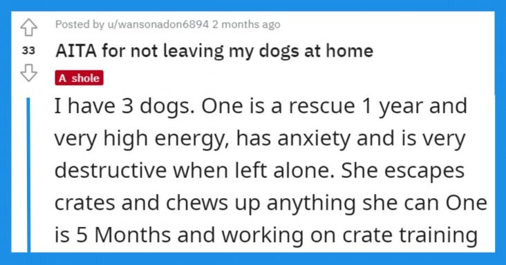Woman Misses Weekly Family BBQs Because Her Active Dogs Are Not Allowed