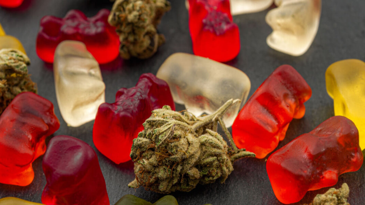 Best Edibles for Pain After Surgery - Grand Goldman