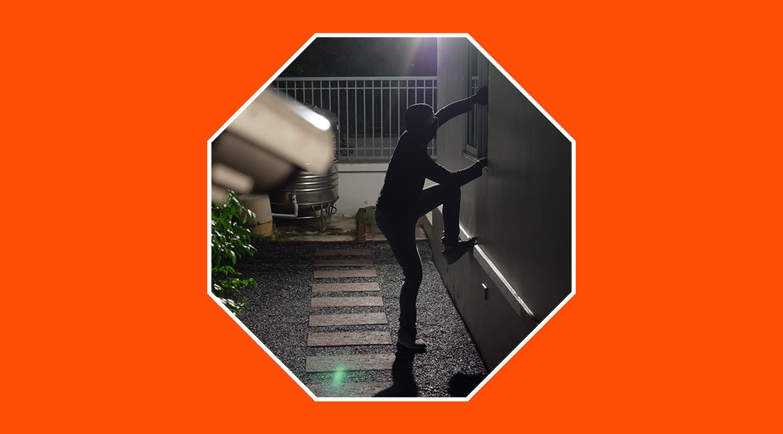 What is the deterrent effect in security and how to achieve it - grandgoldman.com