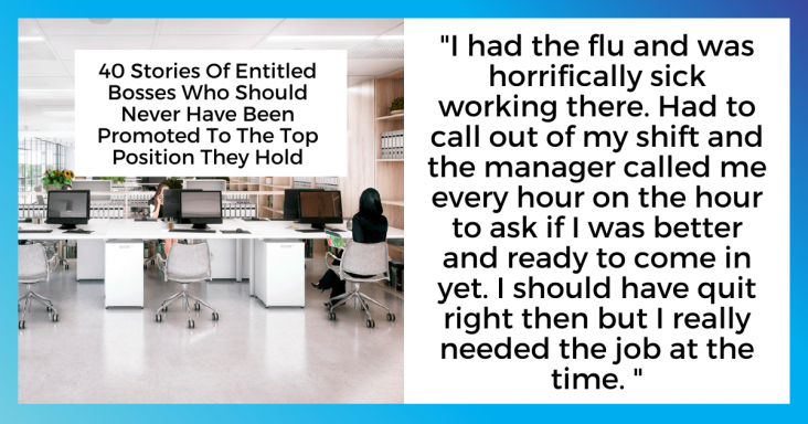 40 Stories Of Entitled Bosses Who Should Never Have Been Promoted To The Top Position They Hold - grandgoldman.com