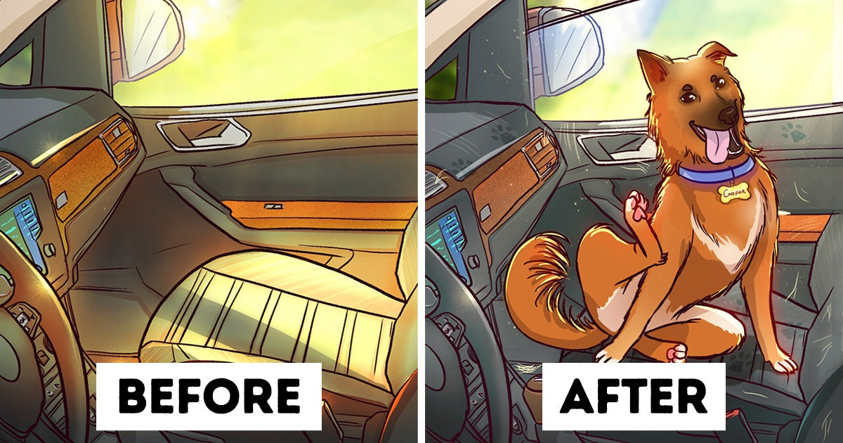 12 Comics Showing How Much Of An Adventure Life Becomes With The Inclusion Of A Pet
