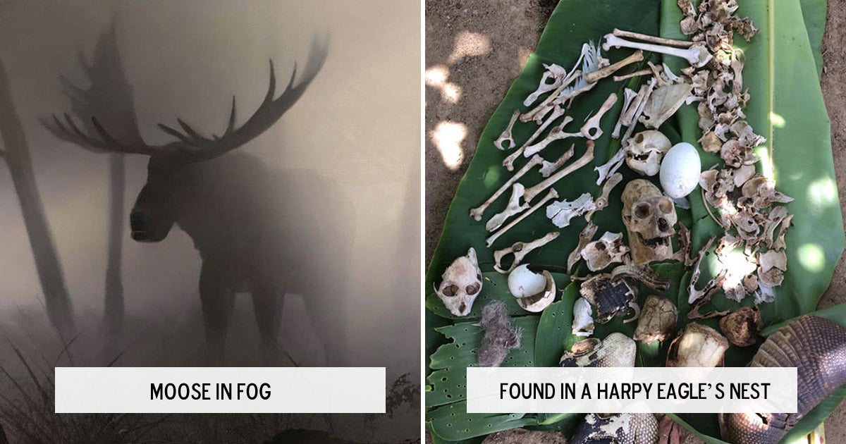 30 Terrifying Pictures That Will Give You Chills