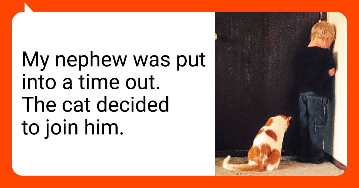 17 Wholesome Pics That Show Our Fluffy Friends Can Brighten Up Anyone’s Dim Day