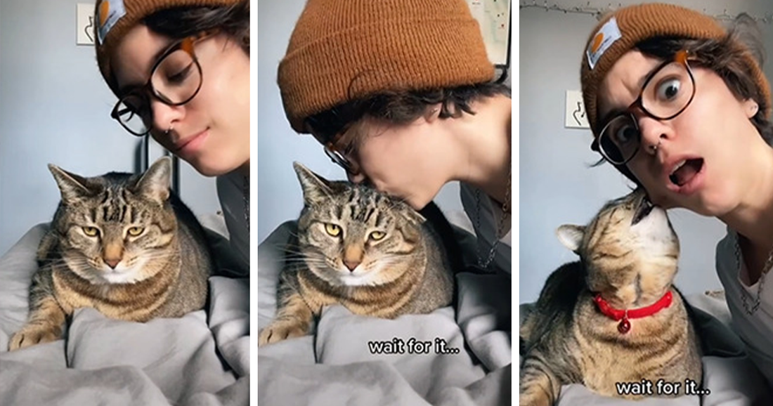 40 Funniest Reactions Of Pets Captured By Owners After Giving Them A Surprise Forehead Kiss