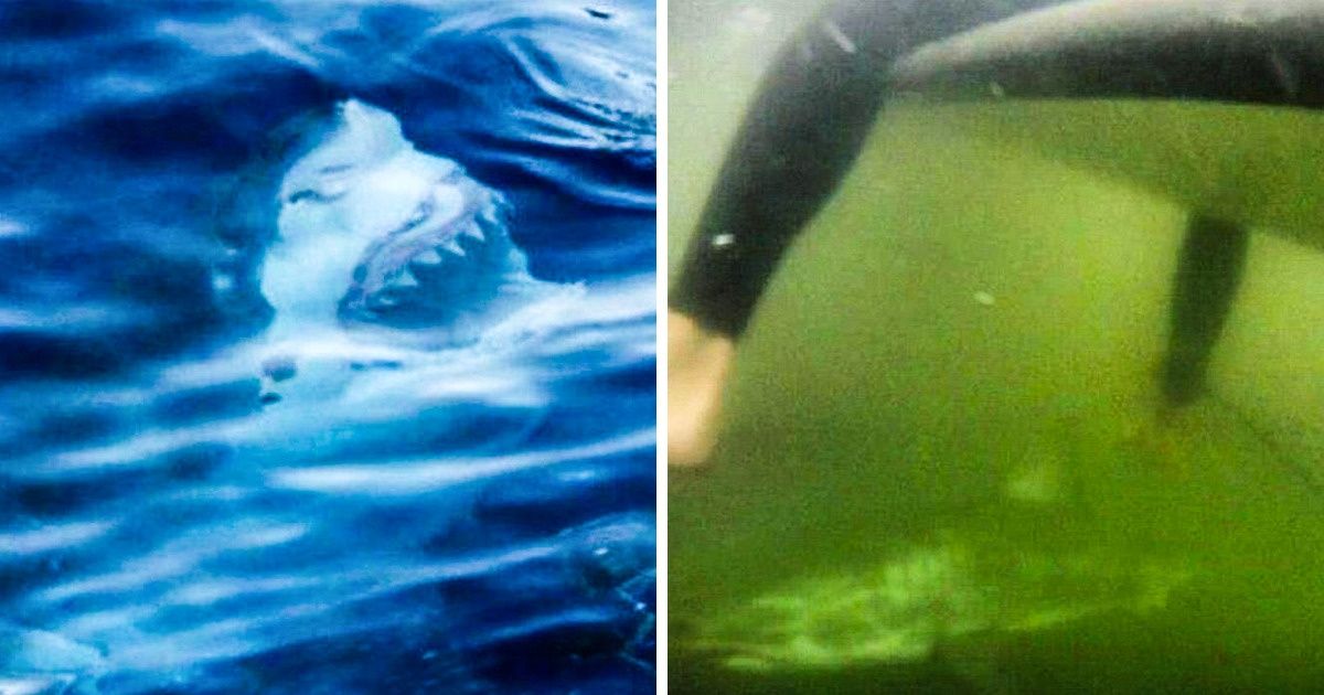 15 Normal Looking Creepy Photos That Will Chill Your Bones