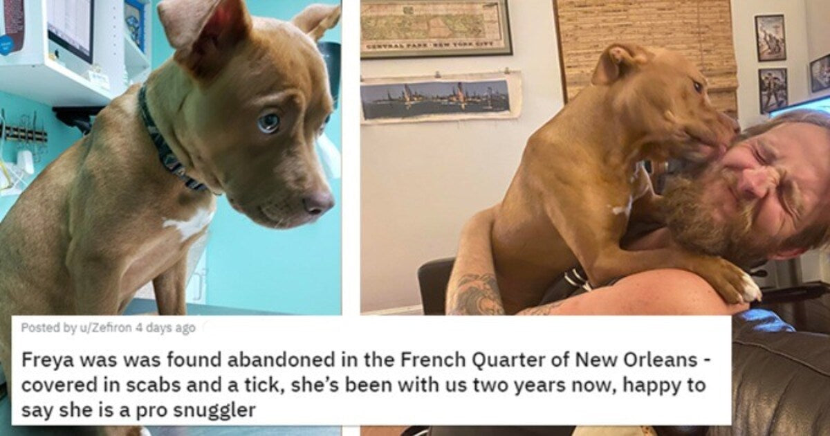 Amazing Before And After Adoption Glowups That Show Power Of Love