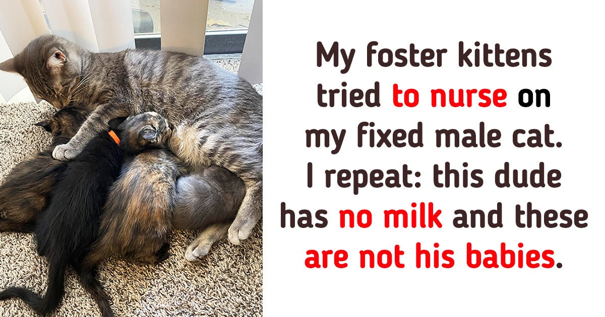 28 Pictures That Are Bound To Make You Happy - grandgoldman.com