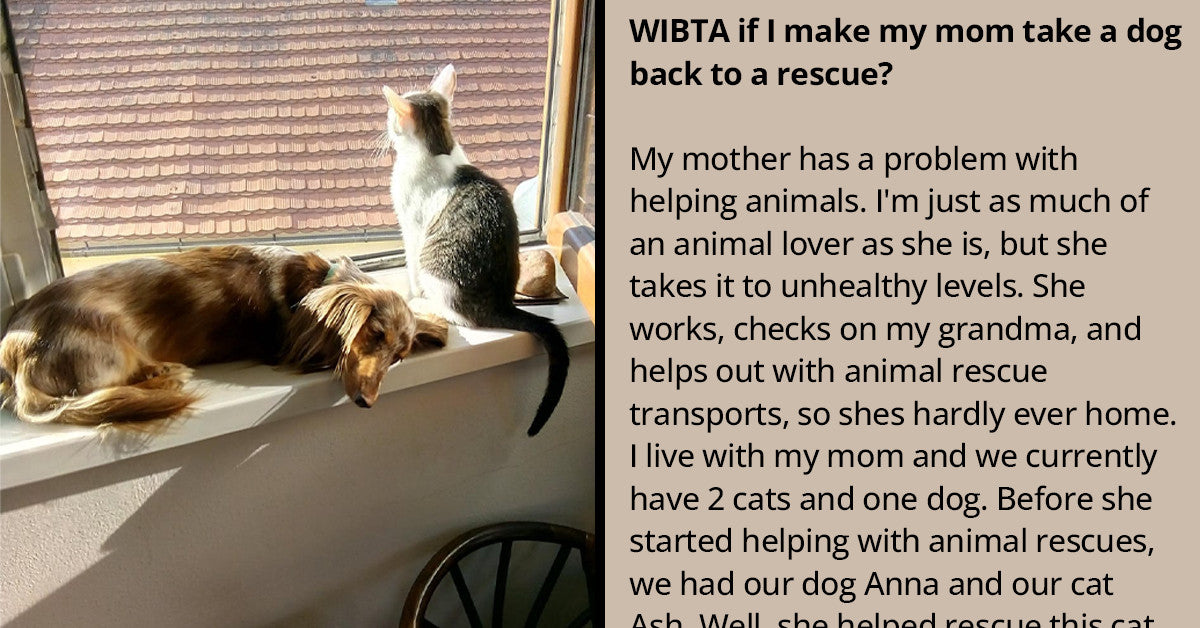 Daughter Asks If She Would Be The Wrong For Sending Her Newly Adopted Dog Back To The Shelter - grandgoldman.com