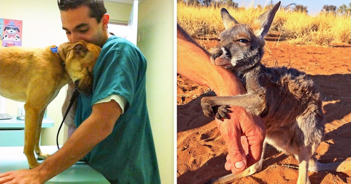 14 Animals Paying Gratitude To People Who Rescued Them