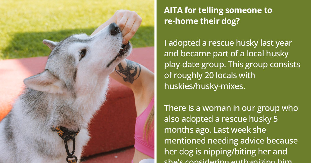Husky Play Date Group Member Gets Kicked Out For Suggesting Woman To Rehome Her Dog Instead Of Getting It Euthanized - grandgoldman.com
