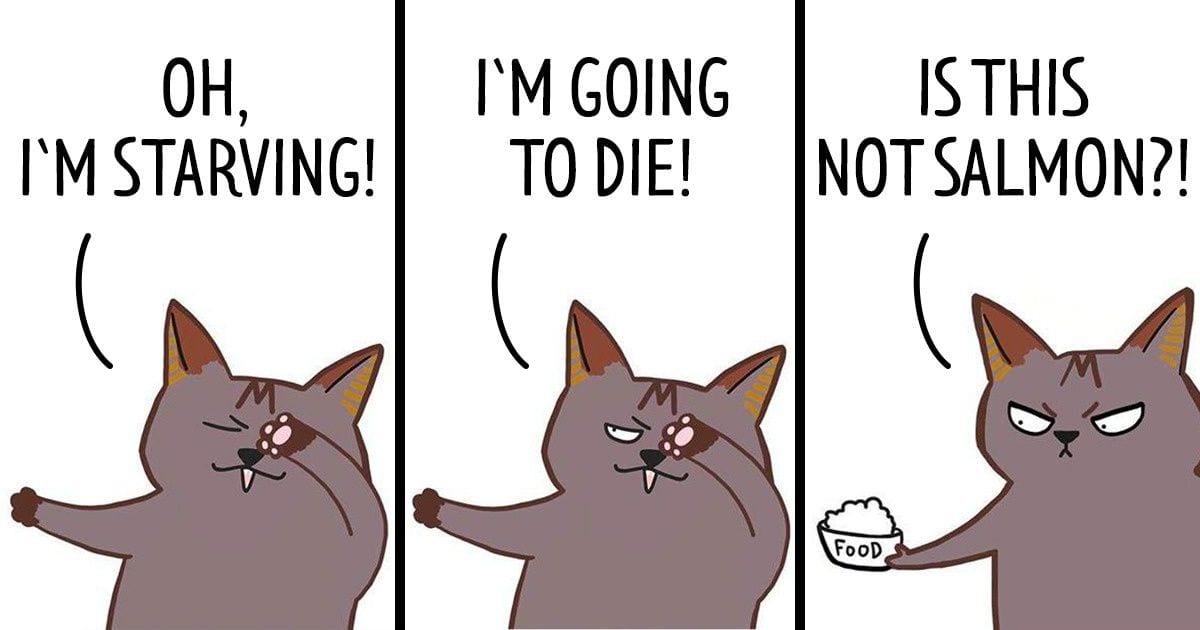 Artist Illustrates What It’s Like To Live With Four Cats With Hilarious Comics