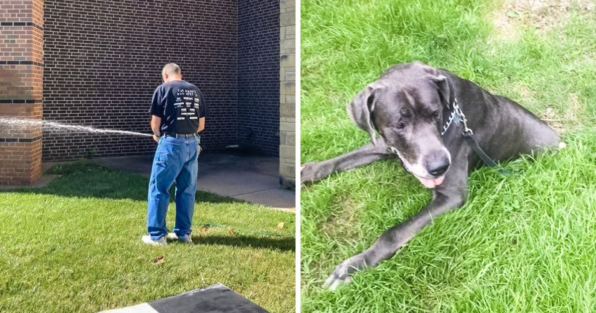 18 Mind Numbing Images That Will Take You A Moment To Understand