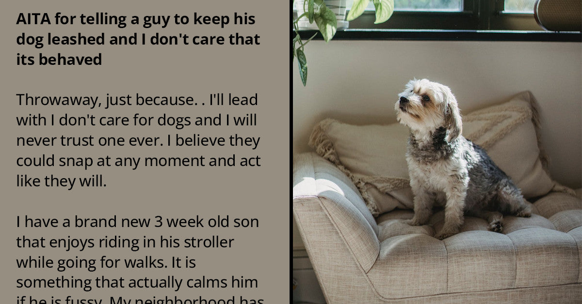 Person Walking Their Child Gets Worried After Seeing A Dog Without Leash And Yells At Its Owner - grandgoldman.com