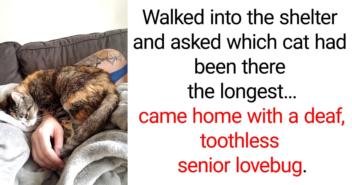 14 Human Acts Of Kindness That Will Raise Your Hope In This Society
