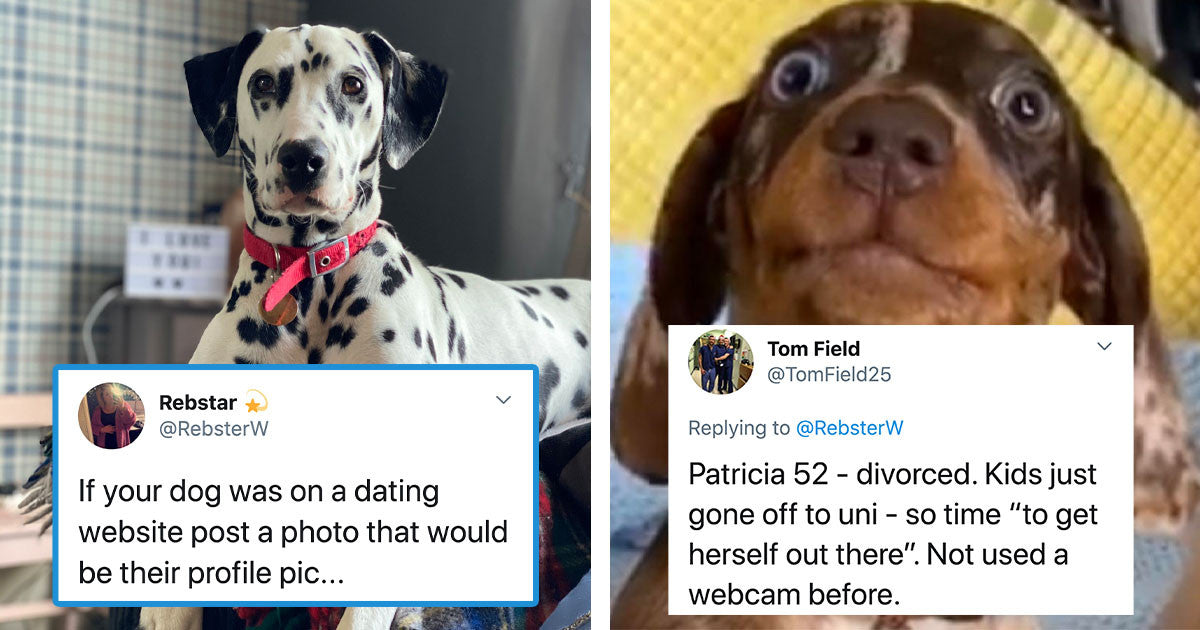 30 Hilarious Dog Dating Profile Pictures That Will Make Everyone Swipe Right - grandgoldman.com