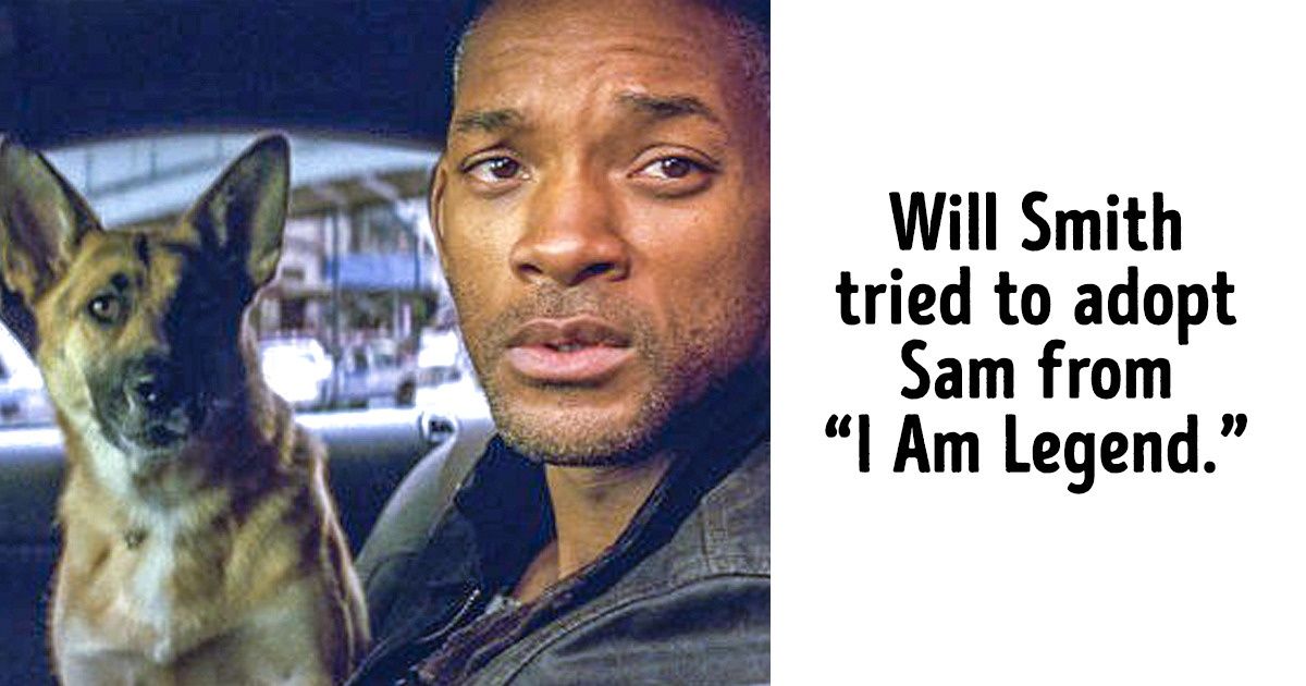 20 Movie Facts That Are Bound To Make You Smile - grandgoldman.com