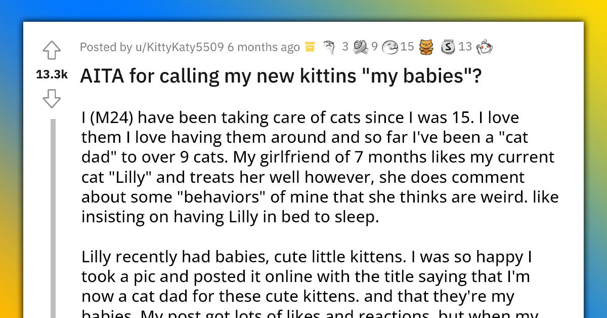 Girlfriend Doesn’t Like That Her Boyfriend Refers To His Kittens As His Babies