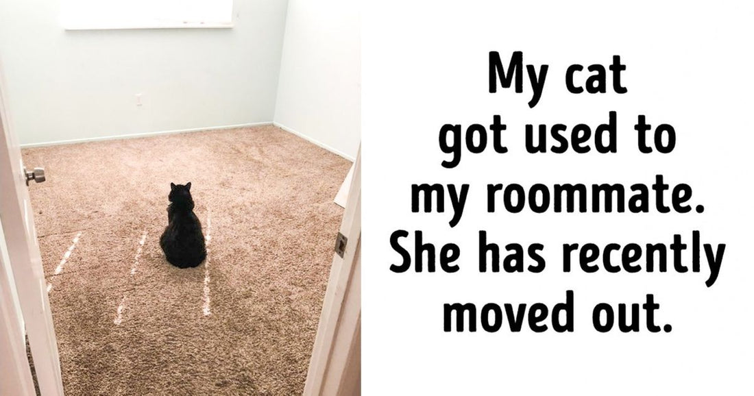 20 Loyal Pet Animals Making Owners Wonder Whether They Deserve All This Love