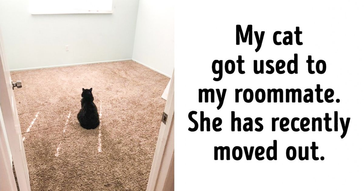 20 Loyal Pet Animals Making Owners Wonder Whether They Deserve All This Love