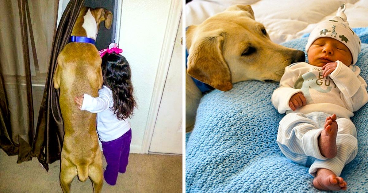 19 Examples Of Animal-Children Bond That Show They Will Follow Each Other To The Moon