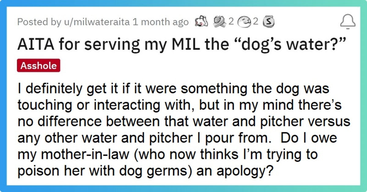 Woman Served Her Mother In Law Dog’s Water, Asks Reddit Whether She Was Right Or Wrong - grandgoldman.com