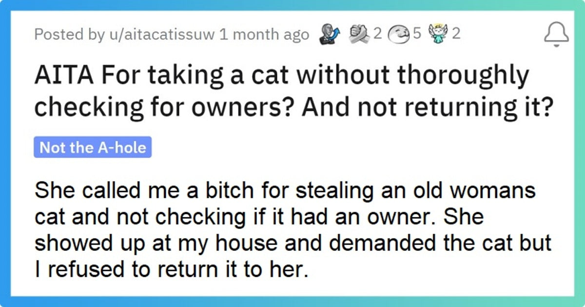 Woman Asks Reddit AITA For Taking Someone Else’s Cat Home She Thought Was A Stray - grandgoldman.com