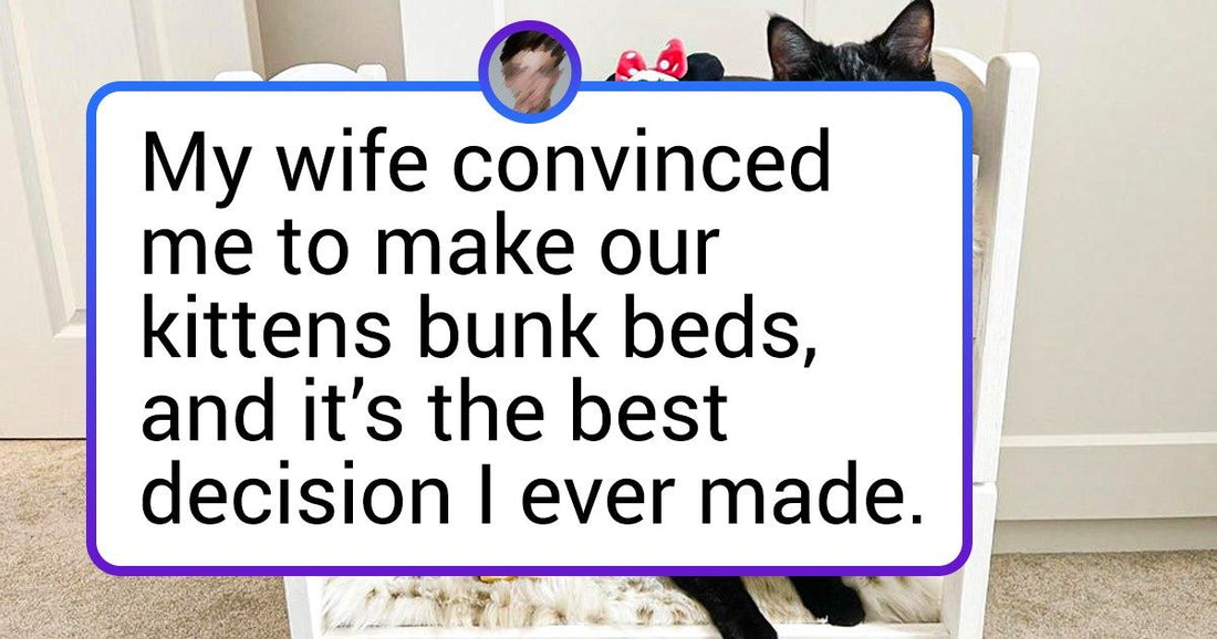 15+ Pet Owners Who Went Overboard When It Came To Giving Their Pets New Exotic Homes