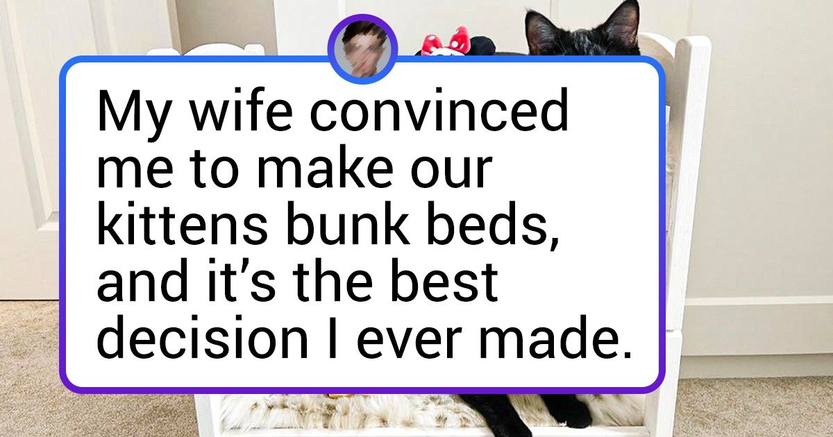 15+ Pet Owners Who Went Overboard When It Came To Giving Their Pets New Exotic Homes