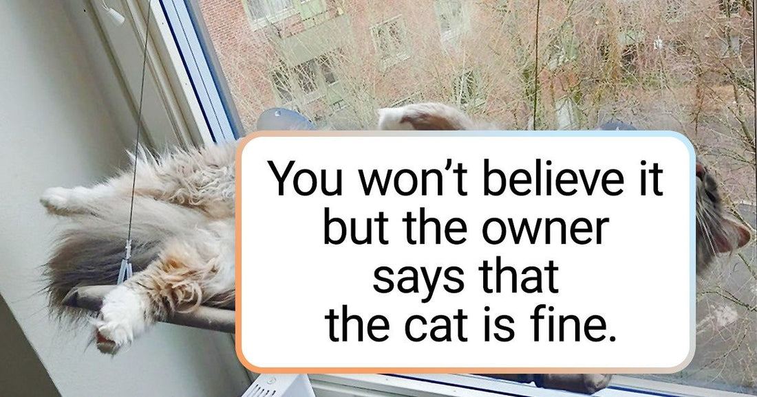 27 Pics Of Animals Being Super Crazy Will Leave You In Splits