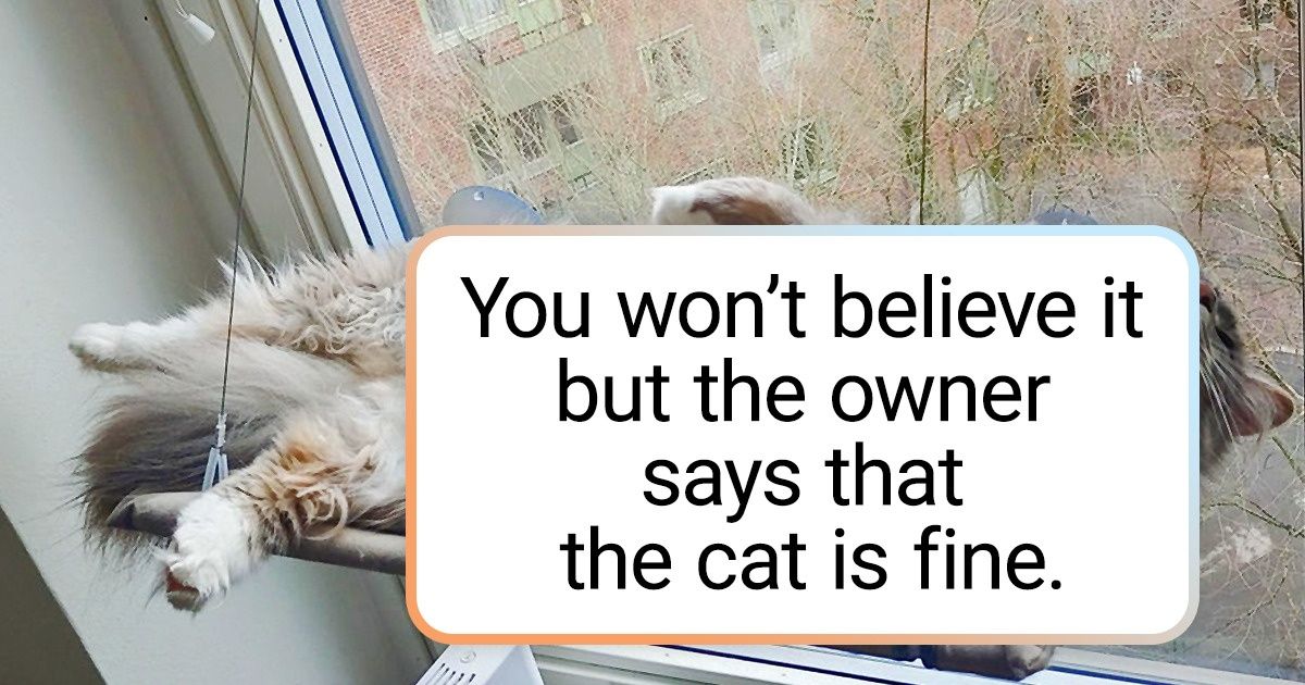 27 Pics Of Animals Being Super Crazy Will Leave You In Splits