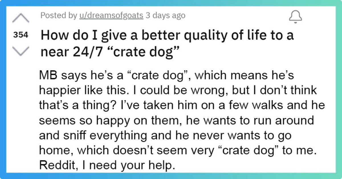 Person Asks Redditors How To Rescue Her Mom’s Boyfriend’s Crate Dog And Give It A Better Life - grandgoldman.com