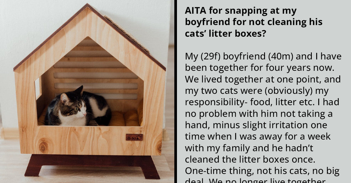 Girlfriend Goes Off At Boyfriend For Not Cleaning His Cat’s Litter Box