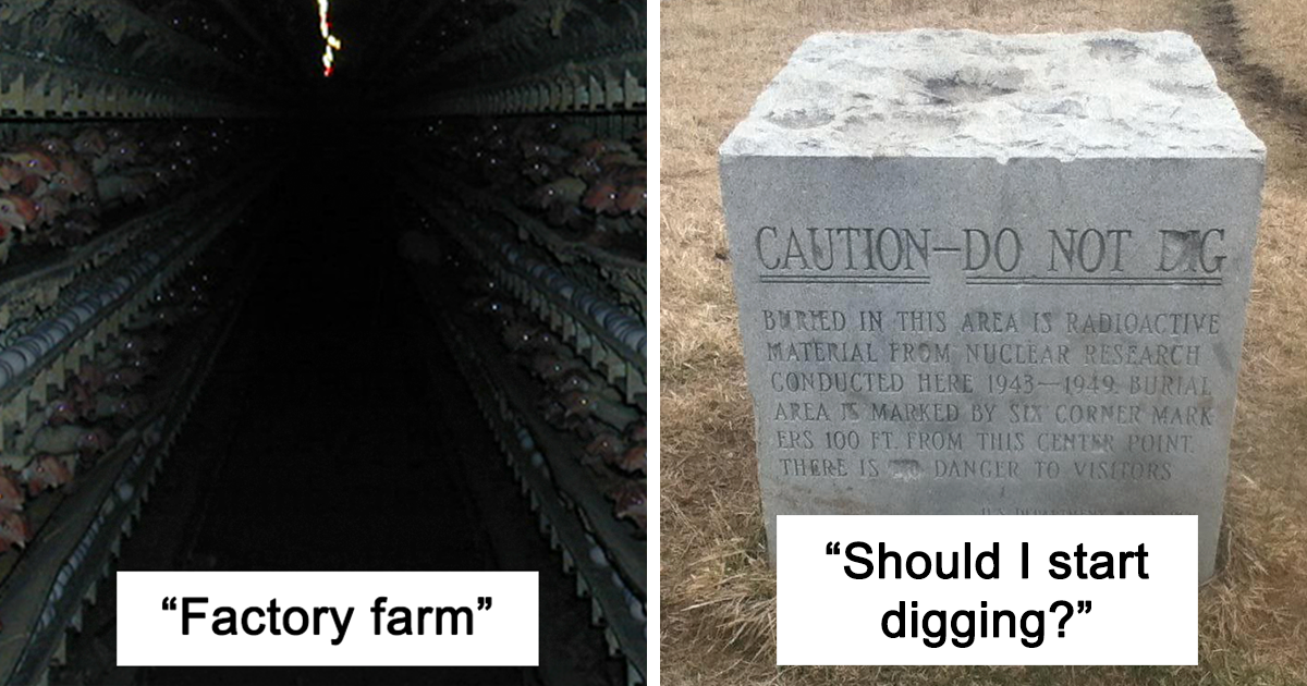 50 Creepiest Sightings Shared By Witnesses That’ll Send Chills Down Your Spine - grandgoldman.com