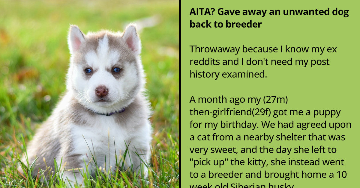 Girlfriend Gifts Boyfriend A Husky And Not A Cat Just Because She Thought The Cat Would Make Him Less Masculine